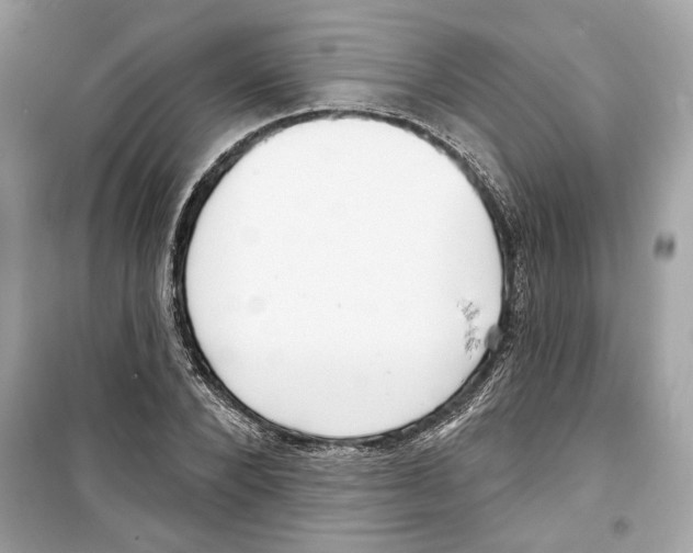 X0000098210880200805221625