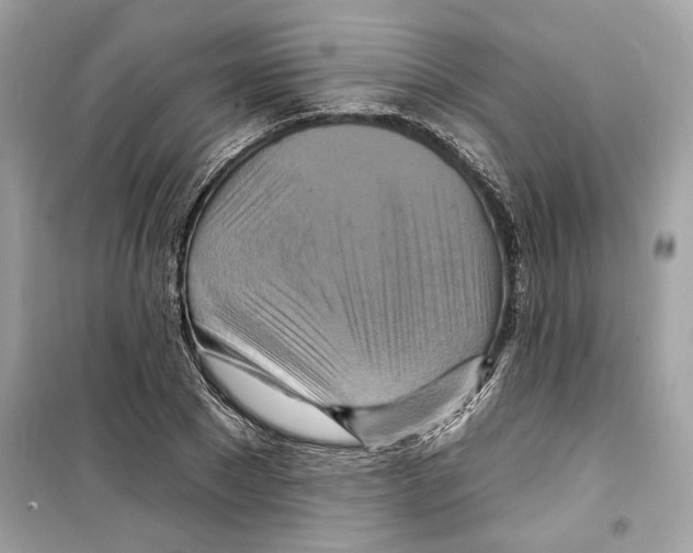 X0000098210881200805221625