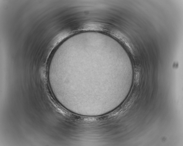 X0000098210882200805221625