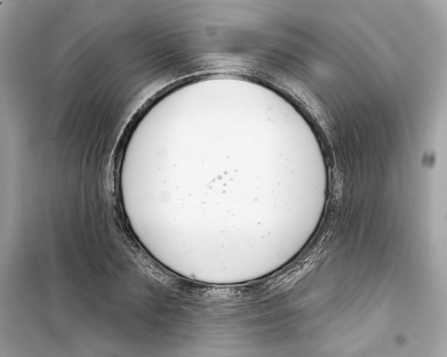 X0000098210883200805221625