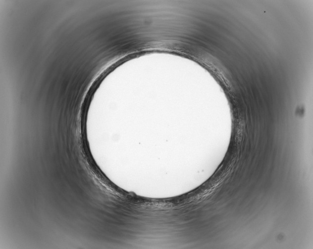 X0000098210884200805221625