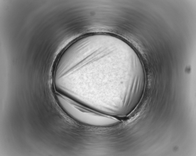 X0000098210885200805221625