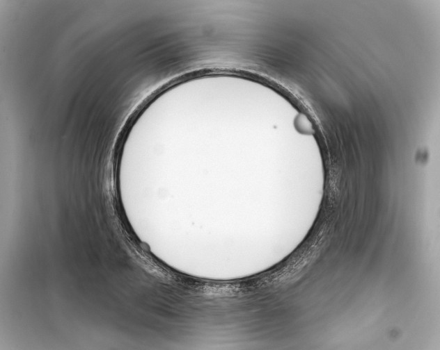 X0000098210887200805221625