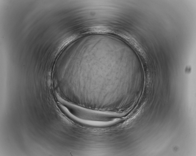 X0000098210889200805221625