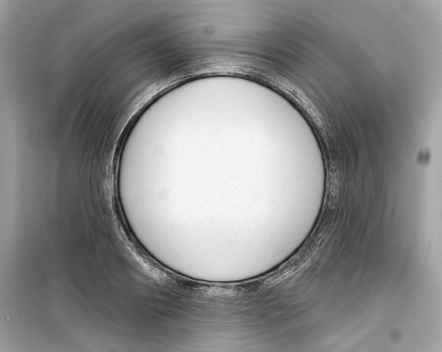 X0000098210890200805221625