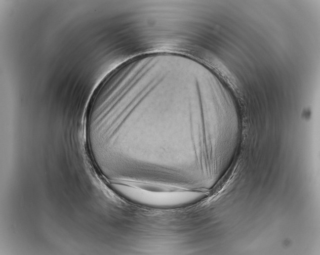 X0000098210892200805221625