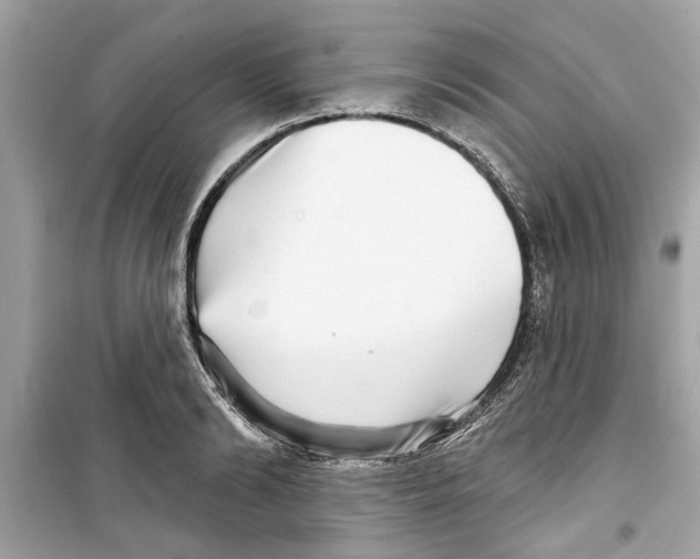 X0000098210894200805221625