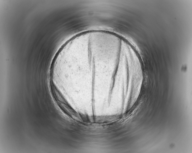 X0000098210895200805221625