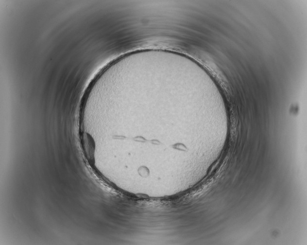 X0000098210896200805221624