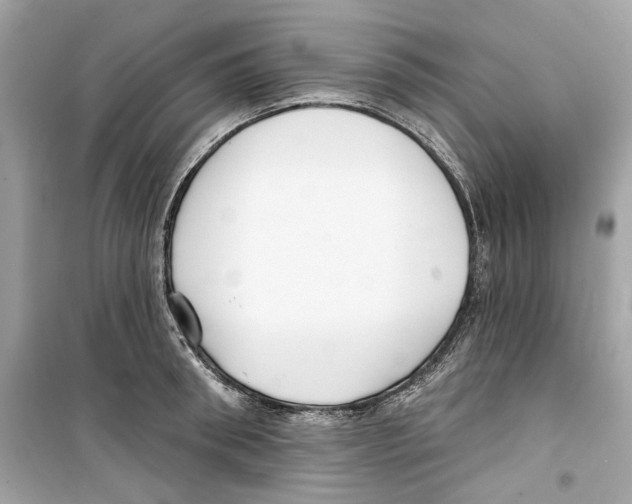 X0000098210898200805221624