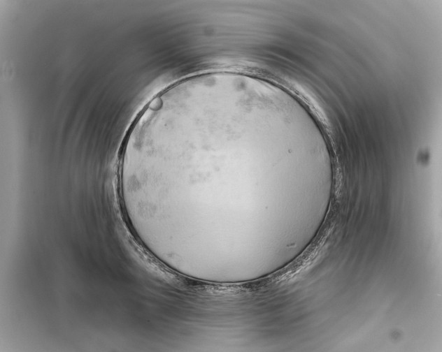 X0000098210899200805221624