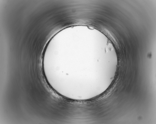 X0000098210900200805221624