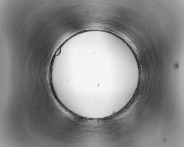 X0000098210901200805221624