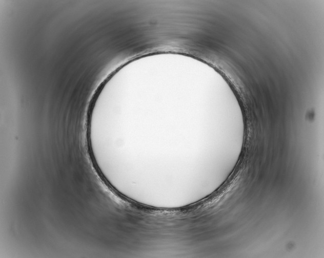 X0000098210902200805221624