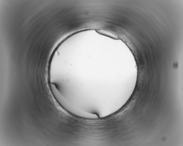 X0000098210904200805221624