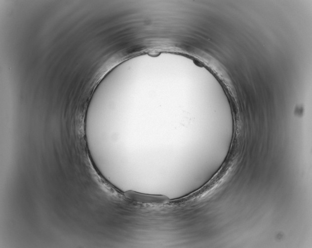 X0000098210905200805221624