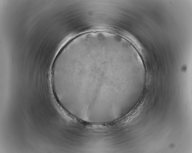 X0000098210907200805221624