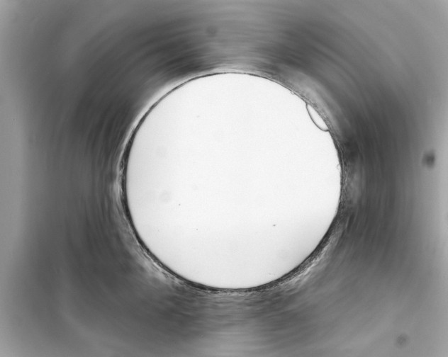 X0000098210908200805221624