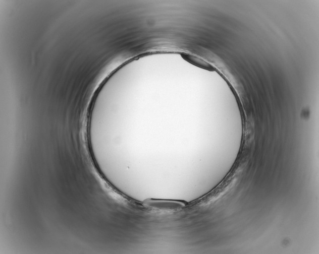 X0000098210909200805221624