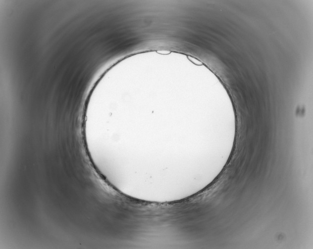 X0000098210912200805221624