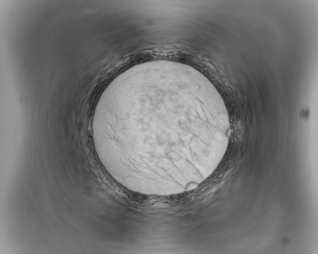 X0000098210913200805221623