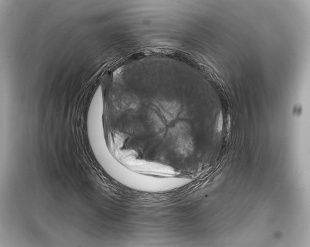 X0000098210915200805221623
