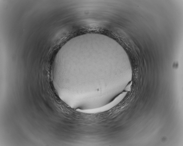 X0000098210916200805221623