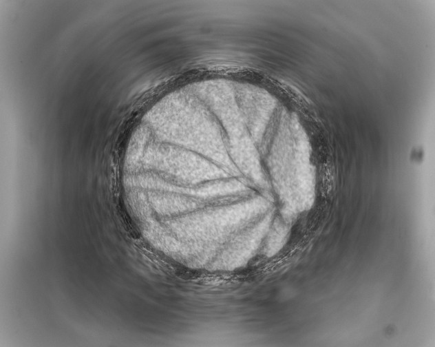 X0000098210917200805221624