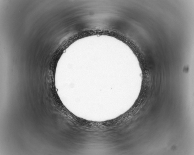 X0000098210918200805221624