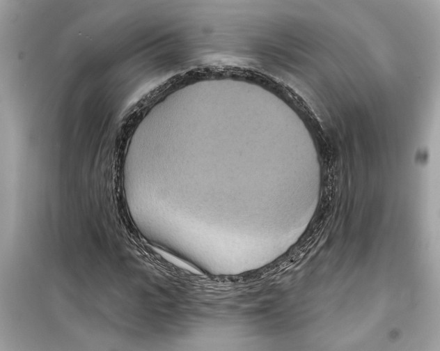 X0000098210919200805221624
