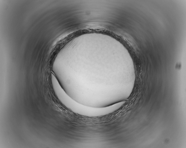 X0000098210920200805221624