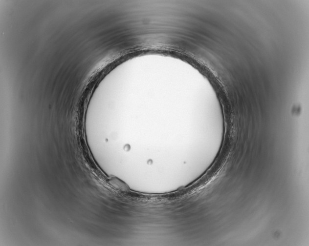 X0000098210922200805221624