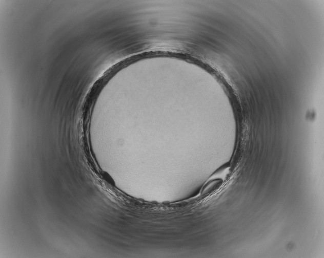 X0000098210923200805221624