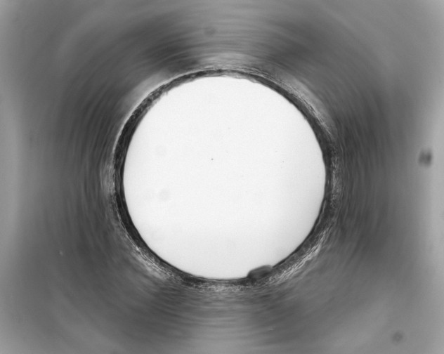 X0000098210924200805221624