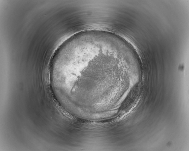 X0000098210925200805221624