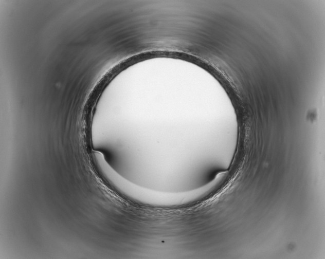 X0000098210926200805221624