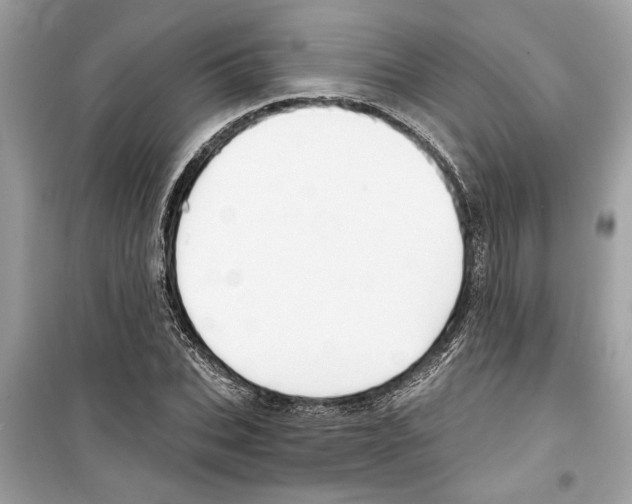 X0000098210927200805221624