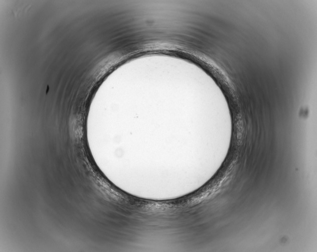 X0000098210929200805221624