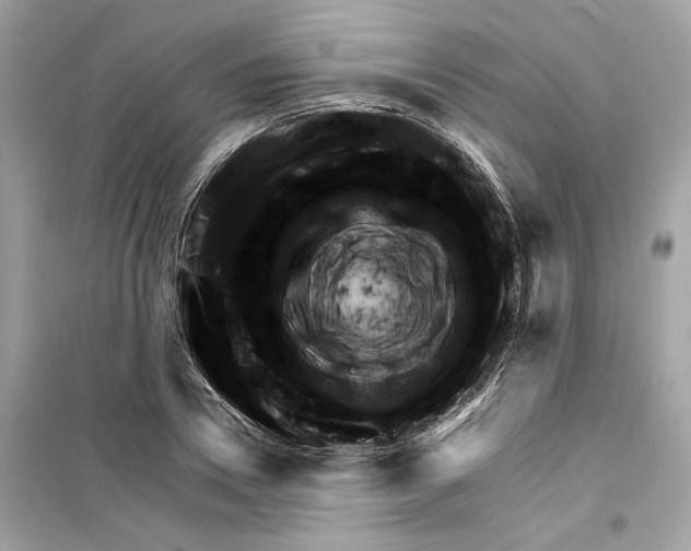 X0000098210930200805221624