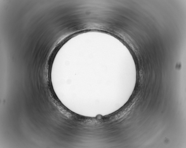 X0000098210931200805221624