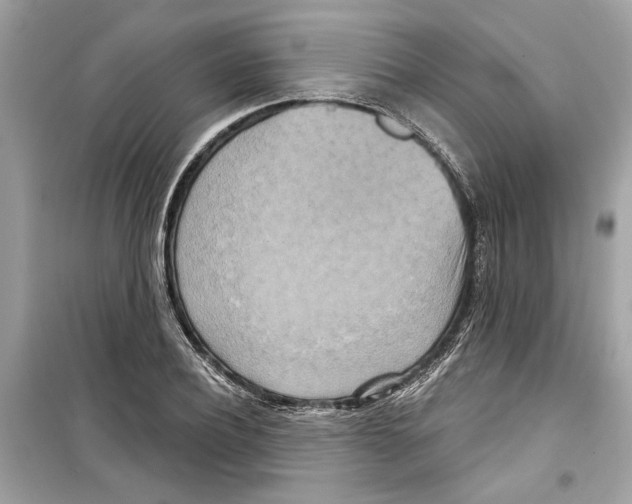 X0000098210932200805221624