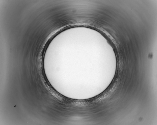X0000098210933200805221624
