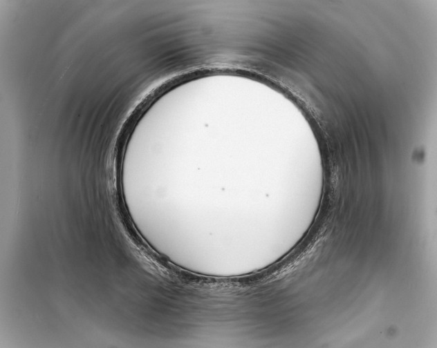 X0000098210934200805221624