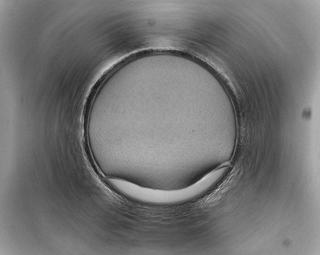 X0000098210935200805221624