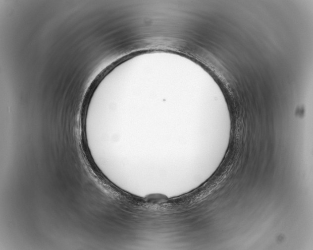X0000098210936200805221624