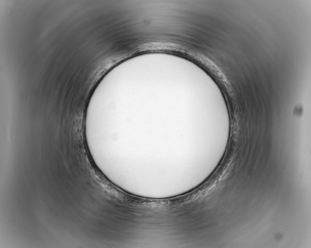 X0000098210937200805221624
