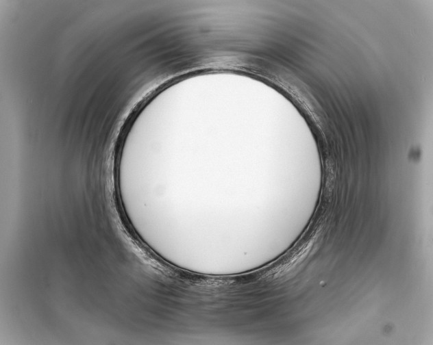 X0000098210939200805221624