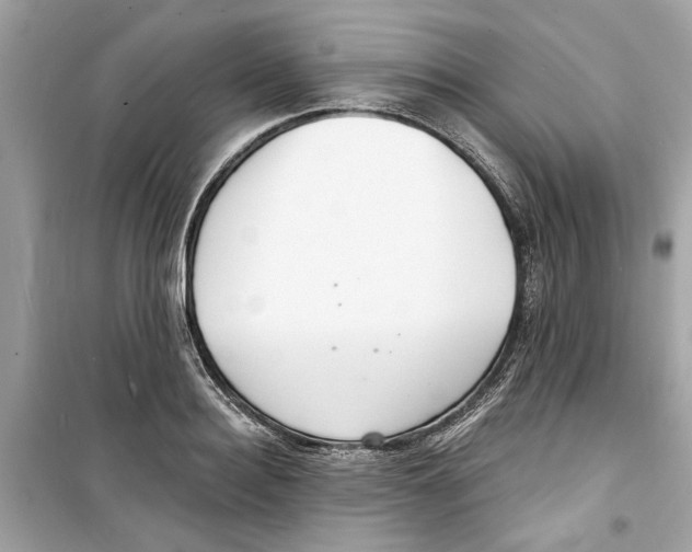 X0000098210940200805221624