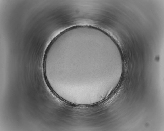 X0000098210943200805221624