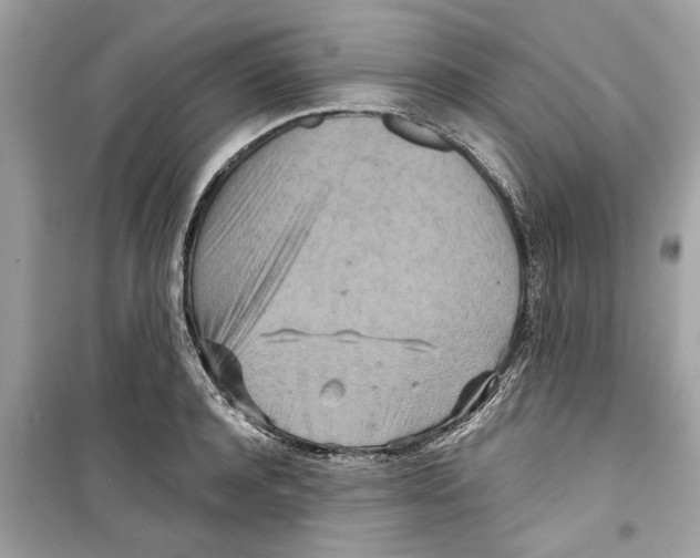 X0000098210944200805221624